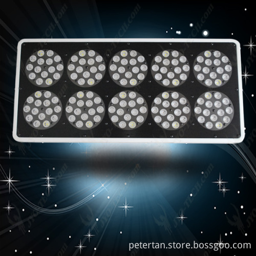 JYO Apollo10 led grow light